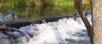 Point d'intérêt Entraigues-sur-la-Sorgue - CASCADE - Photo