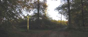 Point d'intérêt Vieux-Moulin - Point 37 - Photo