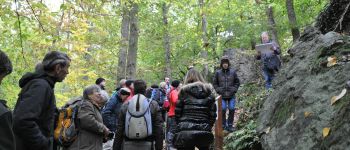 Point d'intérêt Profondeville - Conglomérat de Burnot - Photo