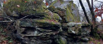 Point d'intérêt Fontainebleau - I - Photo