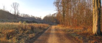 Point d'intérêt Saint-Crépin-aux-Bois - Point 3 - Photo