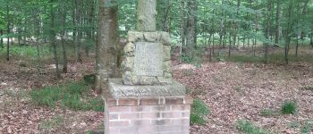 Point d'intérêt Crécy-en-Ponthieu - STELE - Photo