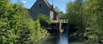 POI Thuin - Moulin - Photo