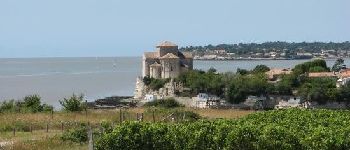 Point of interest Talmont-sur-Gironde - Les hauts de Talmont - Photo