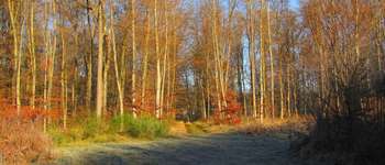 Point d'intérêt Saint-Jean-aux-Bois - Point 12 - Photo