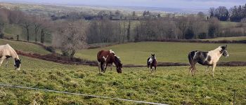 POI Trémouilles - RANCH DU LEVEZOU - Photo