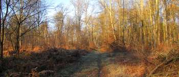 Point d'intérêt Saint-Jean-aux-Bois - Point 18 - Photo