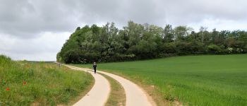 Point d'intérêt Genappe - Vue ouest dans la Rue du Presbytère - Photo