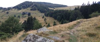 Punto de interés Wasserbourg - Belvédère Hertzog - Photo