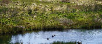 POI Tenneville - Uitkijkplaats van Bilaude - Photo