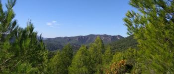 Point d'intérêt Garéoult - Point de vue - Photo