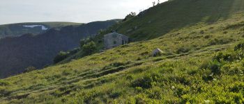 Point d'intérêt Metzeral - Wormspel - Photo