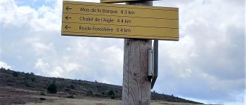 Point d'intérêt Altier - poteau-balise Peyre Plantade- 1558m - Photo