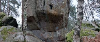 Point d'intérêt Fontainebleau - 4-3 C Roche de Jeanne Hachette - Photo