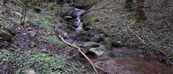 POI Muhlbach-sur-Bruche - Le Muhlbach - Photo