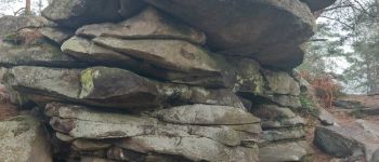 Point d'intérêt Fontainebleau - Z - La Roche Feuilletée - Photo