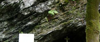 Punto de interés Bièvre - La Roche Mouselle - Photo