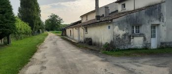 Punto de interés Chérac - CHEMIN DES ROMAINS - Photo