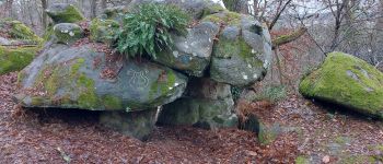 Point d'intérêt Fontainebleau - * - Photo