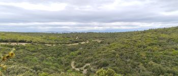 Point d'intérêt Montmirat - point de vue - Photo