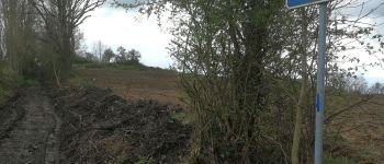 Point d'intérêt Braine-le-Comte - Chemin du Trioux - Photo