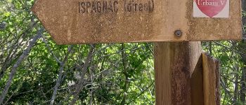 Punto di interesse Gorges du Tarn Causses - Jonction avec le chemin Urbain V balisé GR670 - Photo