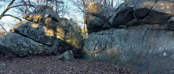 POI Fontainebleau - Unnamed POI - Photo