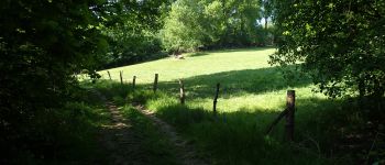 POI Chaumont-Gistoux - Clairière près des étangs - Photo