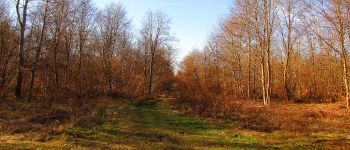 Point d'intérêt Saint-Étienne-Roilaye - Point 13 - Photo