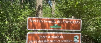 Punto de interés Ambierle - Forêt sectionale des Servajeans - Photo