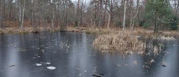 Punto di interesse Fontainebleau - Unnamed POI - Photo