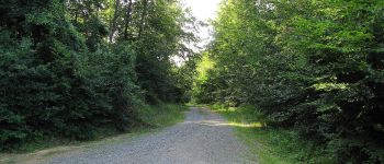 Point d'intérêt Saint-Crépin-aux-Bois - Point 24 - Photo