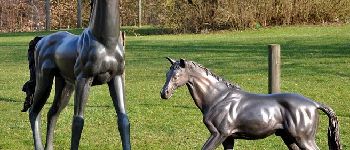 Point d'intérêt Marche-en-Famenne - Les chevaux en bronze - Photo