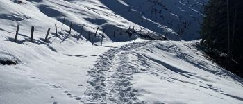 POI Abondance - Fin de piste carrossable - Photo