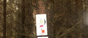 Point d'intérêt Malmedy - La Vecquée - Photo