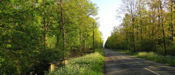 Point d'intérêt Saint-Léger-aux-Bois - Point 1 - Photo