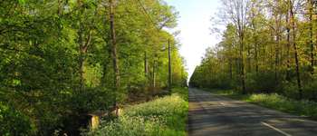 Point d'intérêt Saint-Léger-aux-Bois - Point 1 - Photo