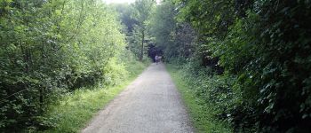 Point d'intérêt Auderghem - Vue sud-est sur chemin à proximité des Trois-Couleurs - Photo