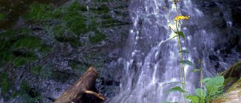 Point d'intérêt Lautenbachzell - cascade de seebach - Photo