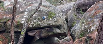 Point d'intérêt Fontainebleau - 6Y - Belvédère de Titien - Photo