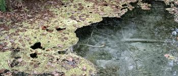 Punto di interesse Belœil - Fontaine source de l'eau bouillante - Photo