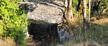 Point d'intérêt Limogne-en-Quercy - Dolmen de Joncas - Photo