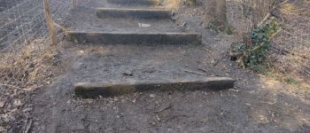 Point d'intérêt Ham-sur-Heure-Nalinnes - Escalier, boue, grandes marches - Photo