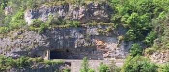POI Saint-Pierre-des-Tripiers - Tunnel dans le Causse-Méjean - Photo