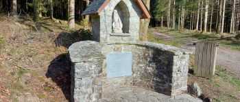 Punto de interés Bièvre - Chapelle du Maquis - Photo