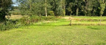 Punto di interesse Villers-le-Bouillet - Toultia - Fonds de Vaux - Photo
