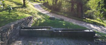 Point d'intérêt Soultz-les-Bains - Halte équestre du Holtzbrunnen - Photo