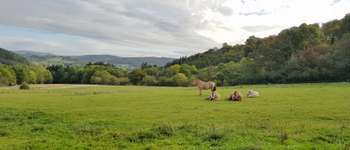 POI Hotton - Het Grote Routepad GR57 - Photo