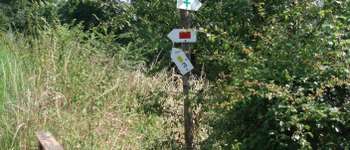 Point d'intérêt Blegny - Bifurcation - Photo