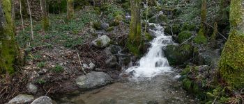 Point d'intérêt Le Ménil - Ruisseau des Granges - Photo